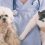 Pet Healthcare Insurance