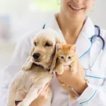 Animal Hospital