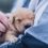 Everything You Need to Know About Raising a Puppy