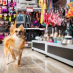 Pet Accessory Store