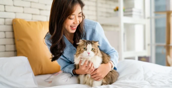 Respect Your Cat Day