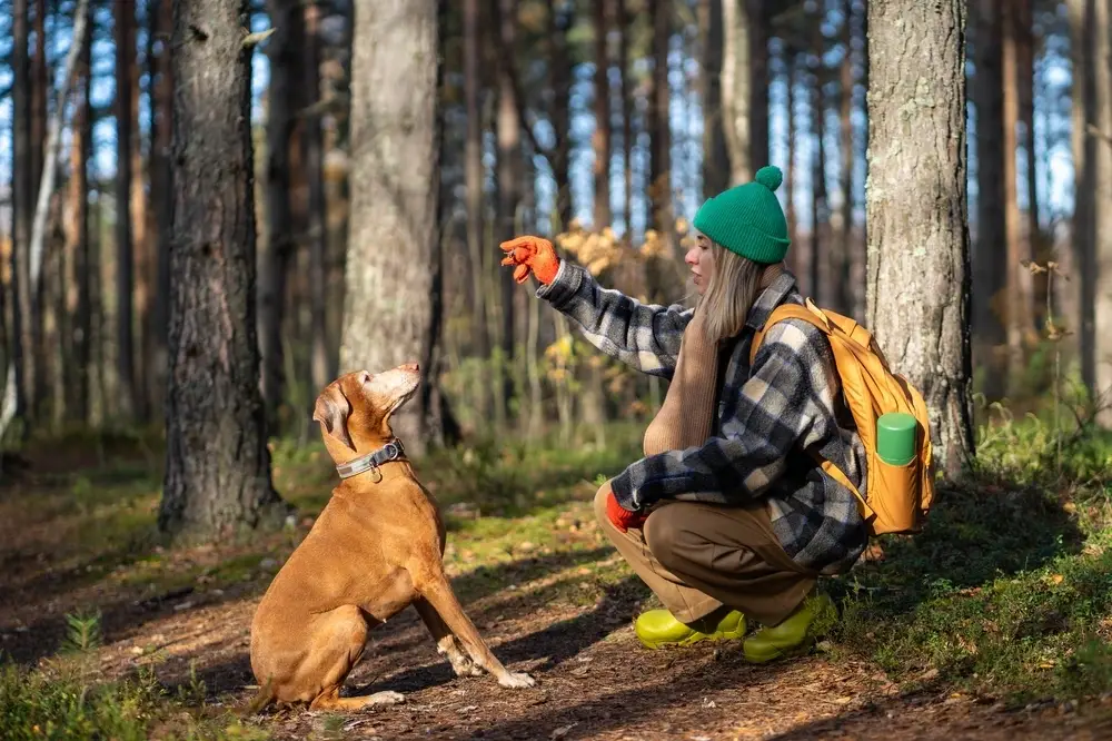 Healthy Dog Treats For Training Healthy Dog Treats For Training