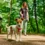 Jack Russell Dog: Small Body, Big Attitude
