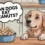 Can Dogs Eat Peanuts? Safe or Risky Treat?
