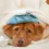 Can Dogs Get Colds? What Pet Owners Need to Know