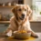Is Turmeric For Dogs Really Safe And Effective?