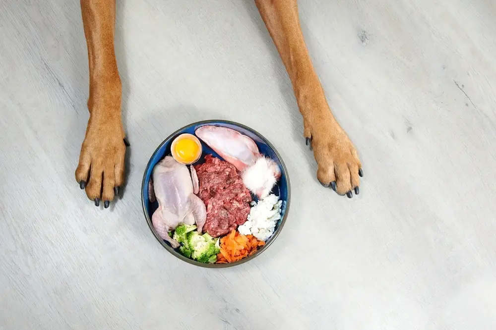 Raw Dog Food Raw Dog Food