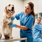 Veterinary Medicine Programs